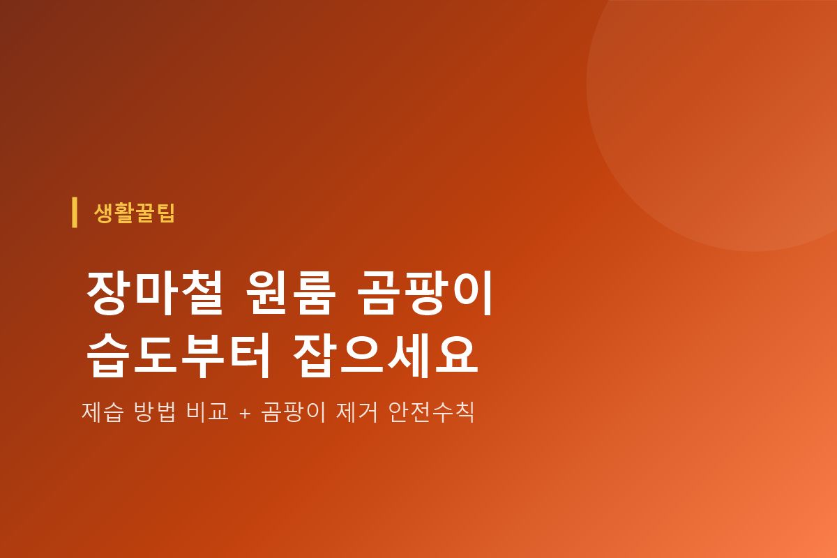 장마철 실내 곰팡이 예방과 제습 방법
