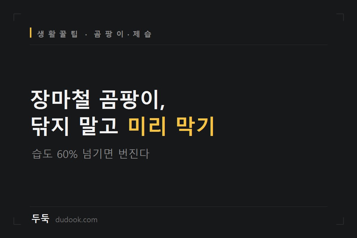 장마철 원룸 곰팡이, 습도 60%부터 갈립니다 (제습 방법 + 집주인에게 수선 요구하는 법)